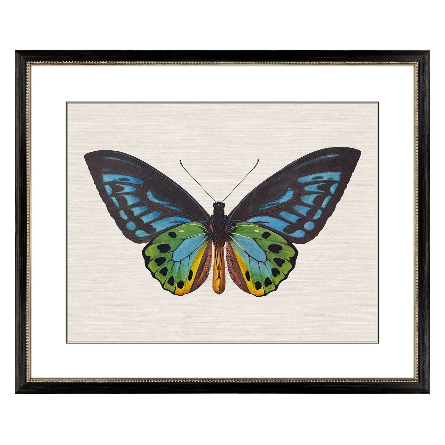 Libby Langdon Garden Visitor I Framed Art