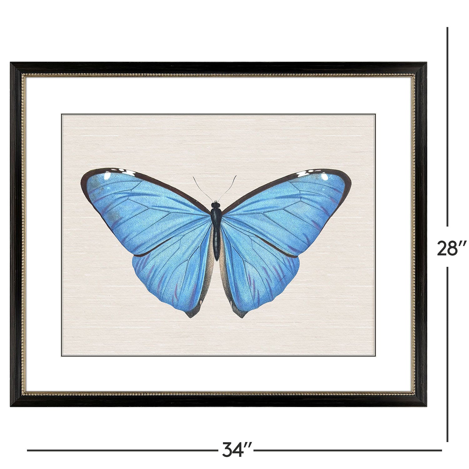 Libby Langdon Garden Visitor II Framed Art