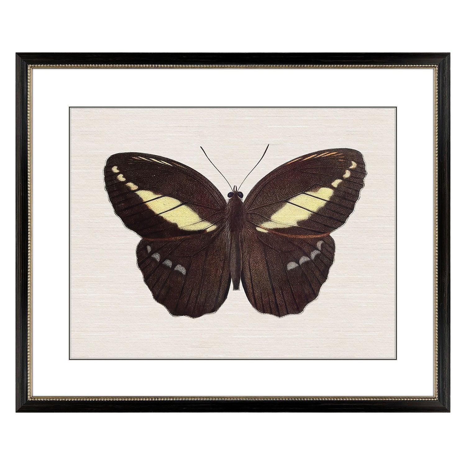 Libby Langdon Garden Visitor IV Framed Art