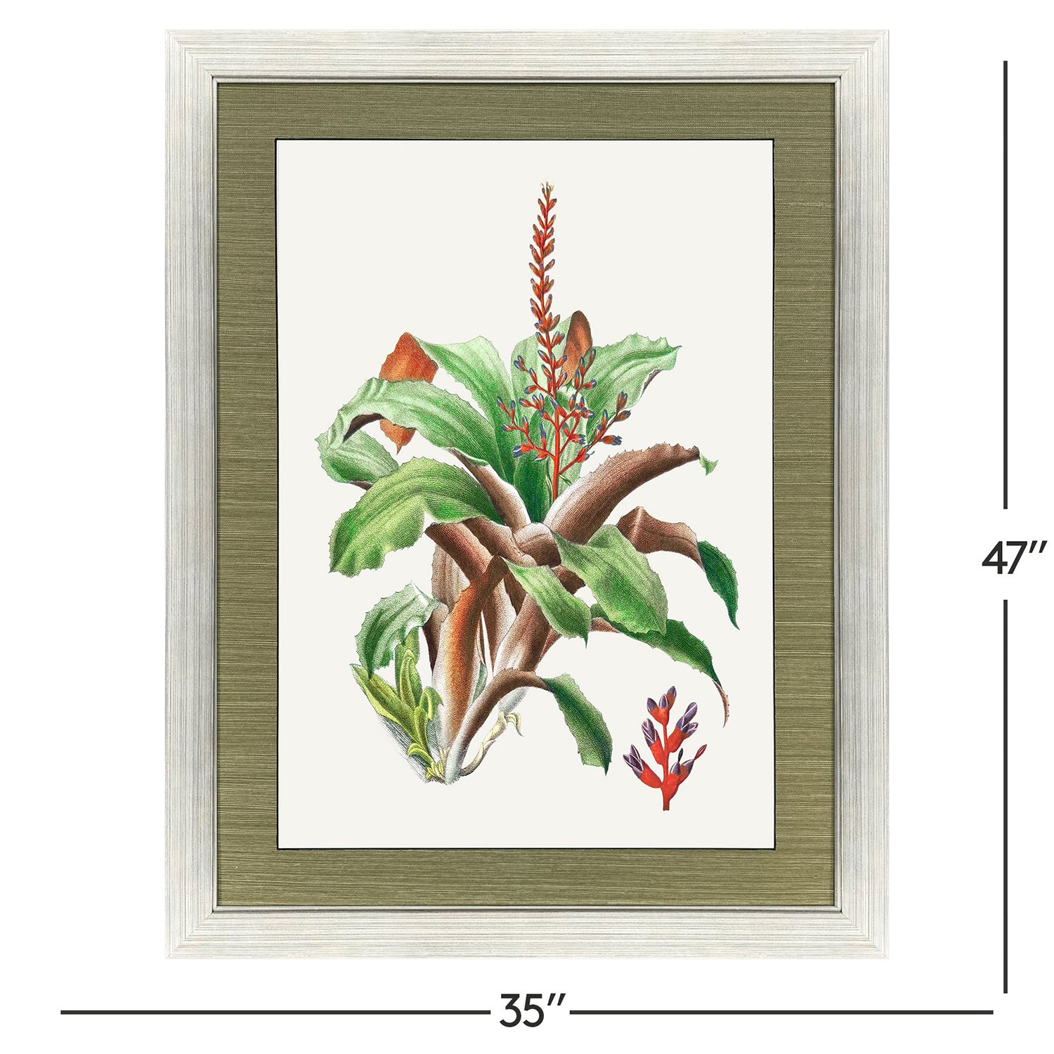 Libby Langdon Cactus Floral Framed Art