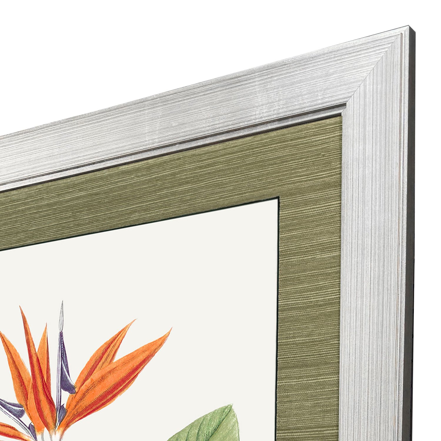 Libby Langdon Bird of Paradise Framed Art