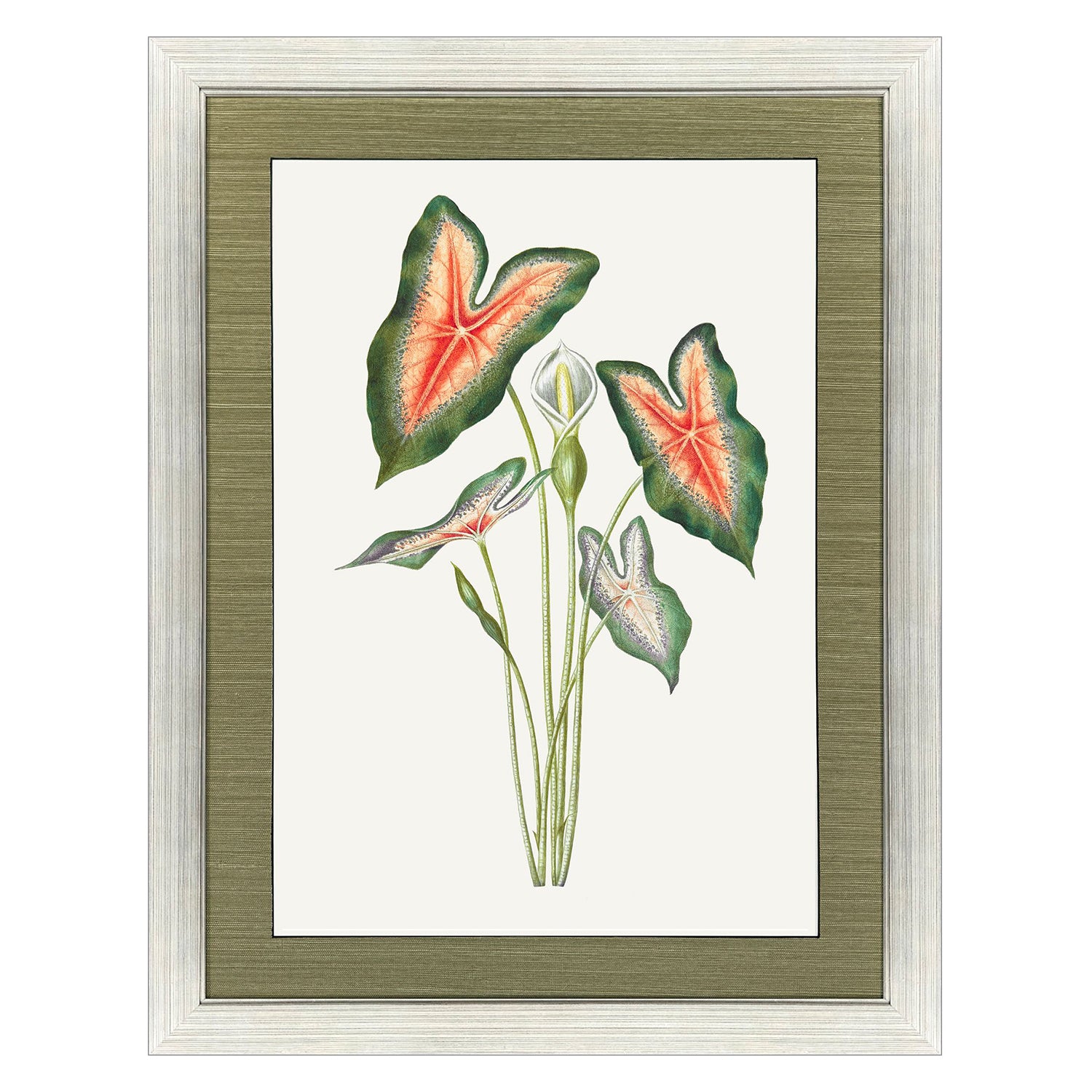 Libby Langdon Caladium Framed Art