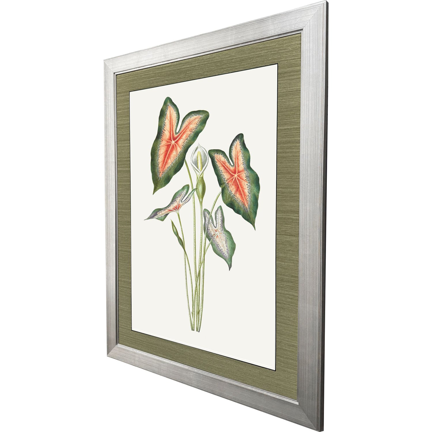 Libby Langdon Caladium Framed Art