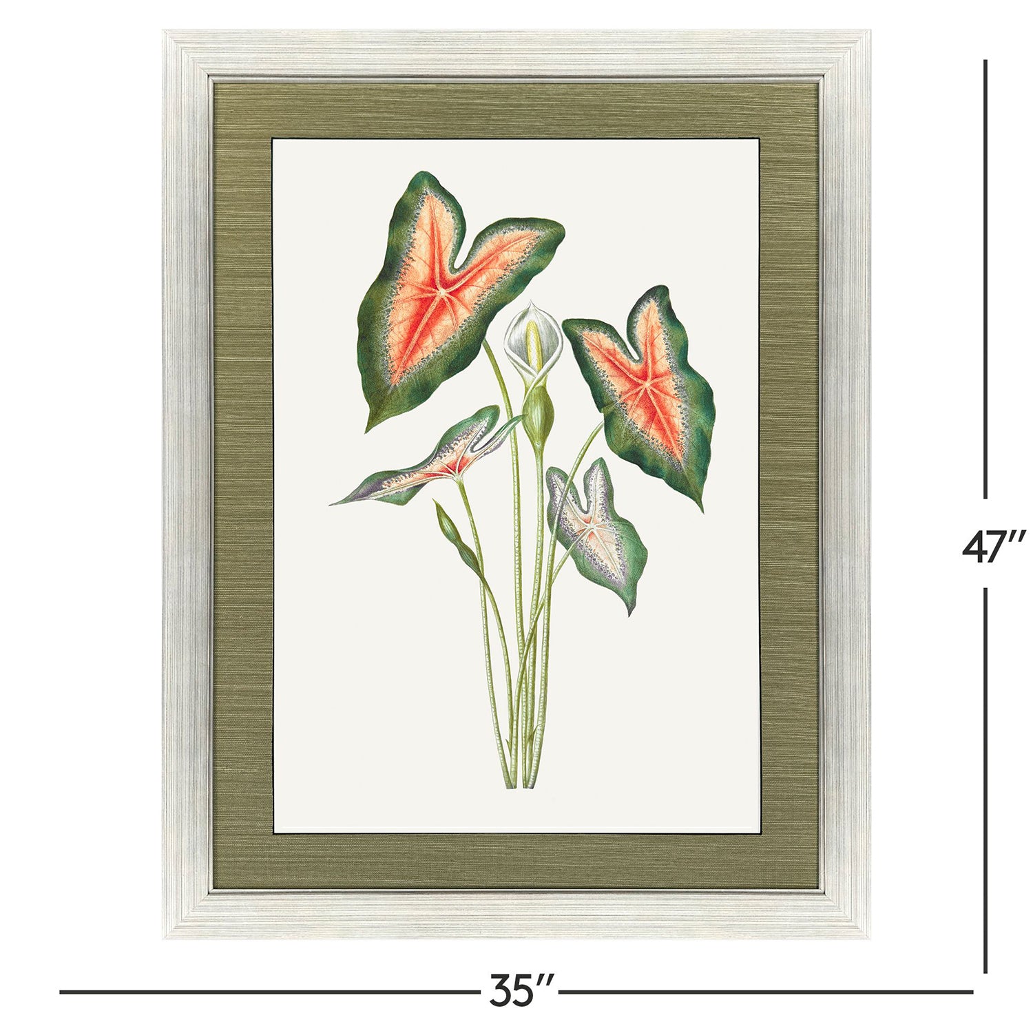 Libby Langdon Caladium Framed Art