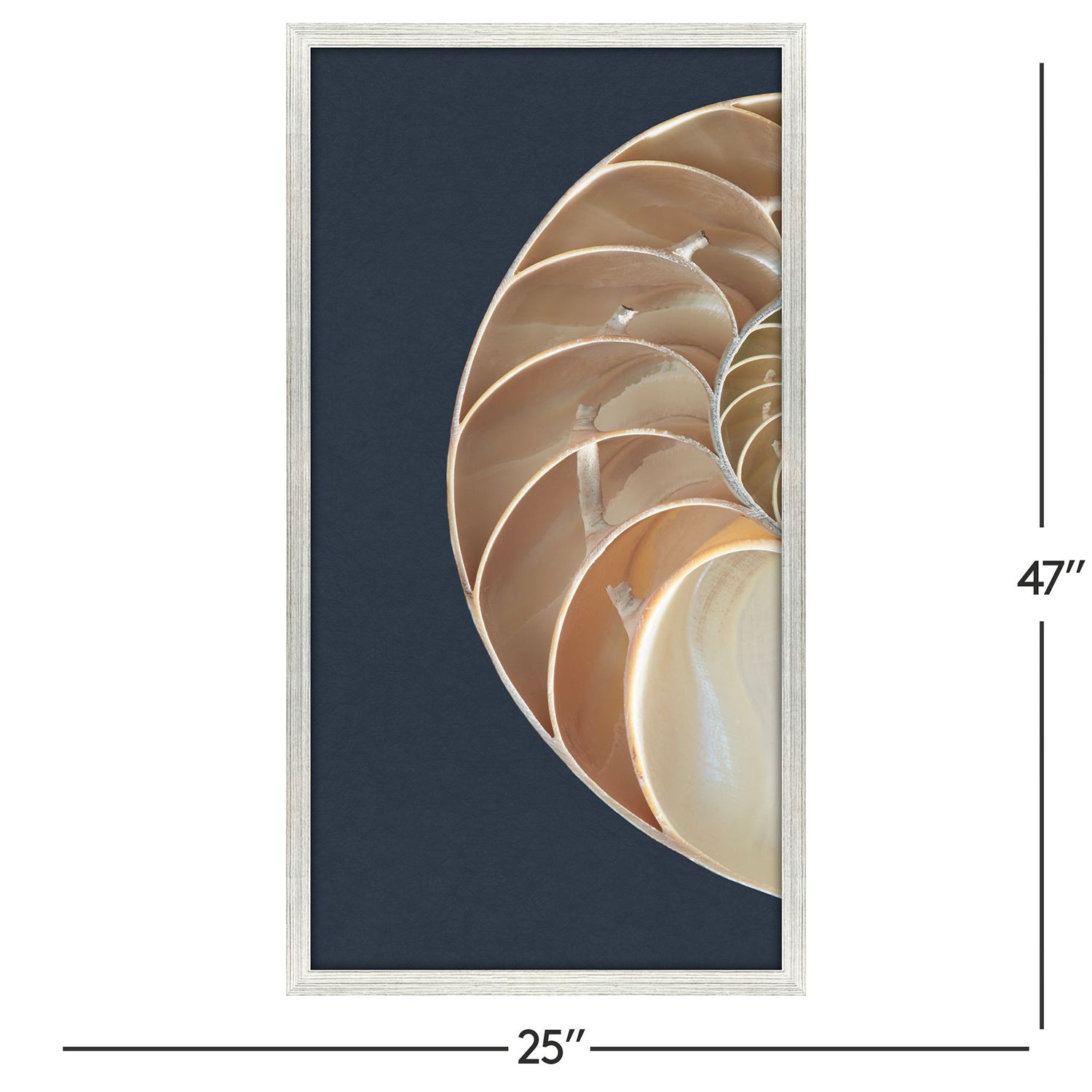 Libby Langdon Nautilus Triptych Framed Art Set of 3
