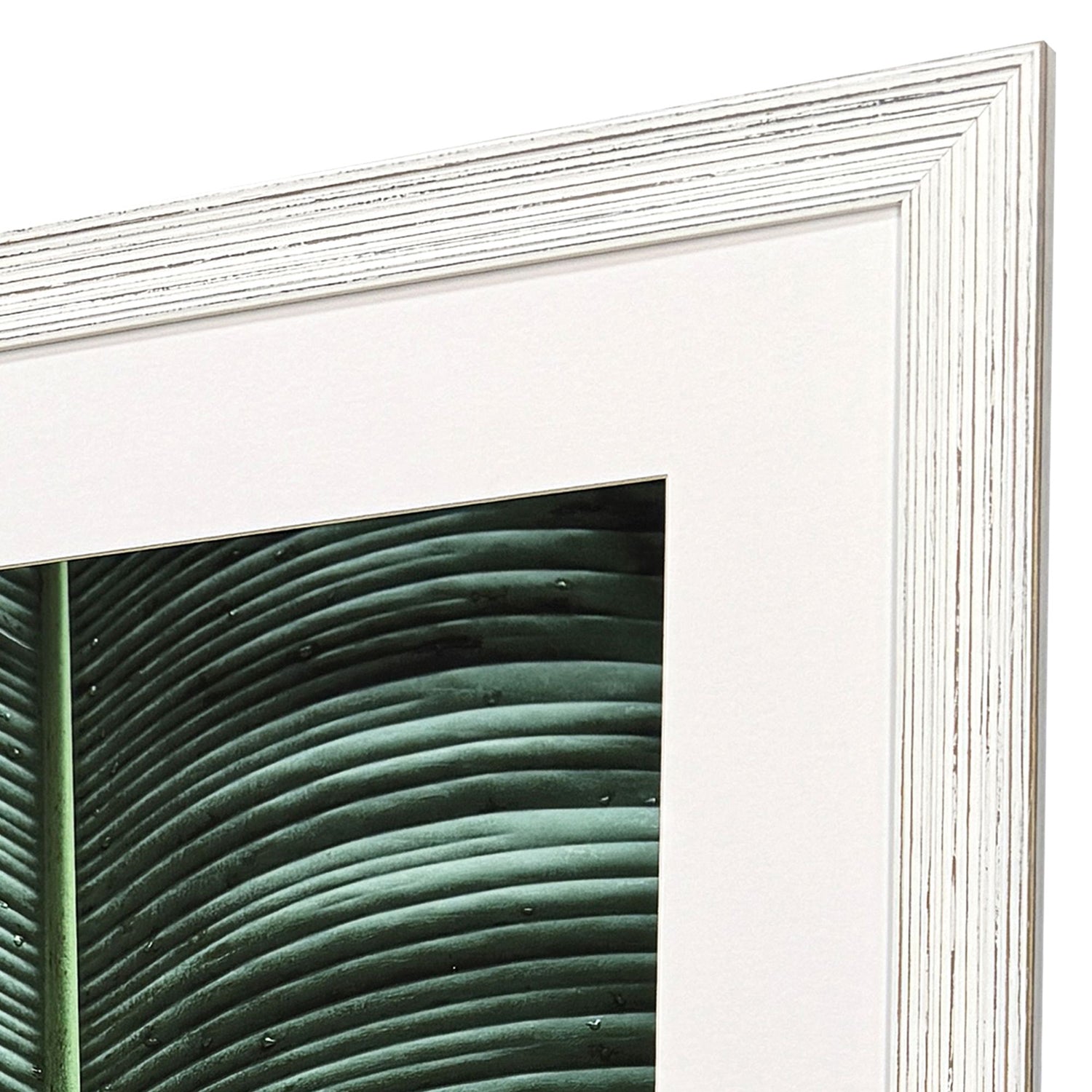 Malanta Knowles Leaf Study Framed Art Set of 2
