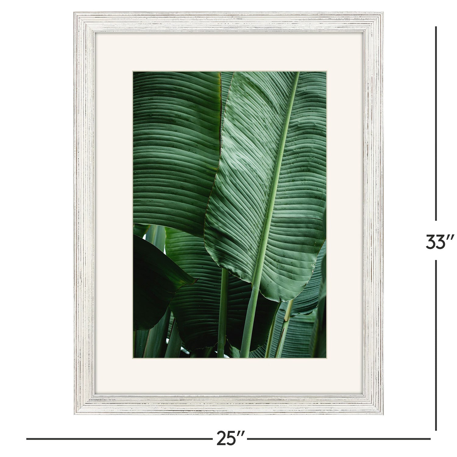 Malanta Knowles Leaf Study Framed Art Set of 2