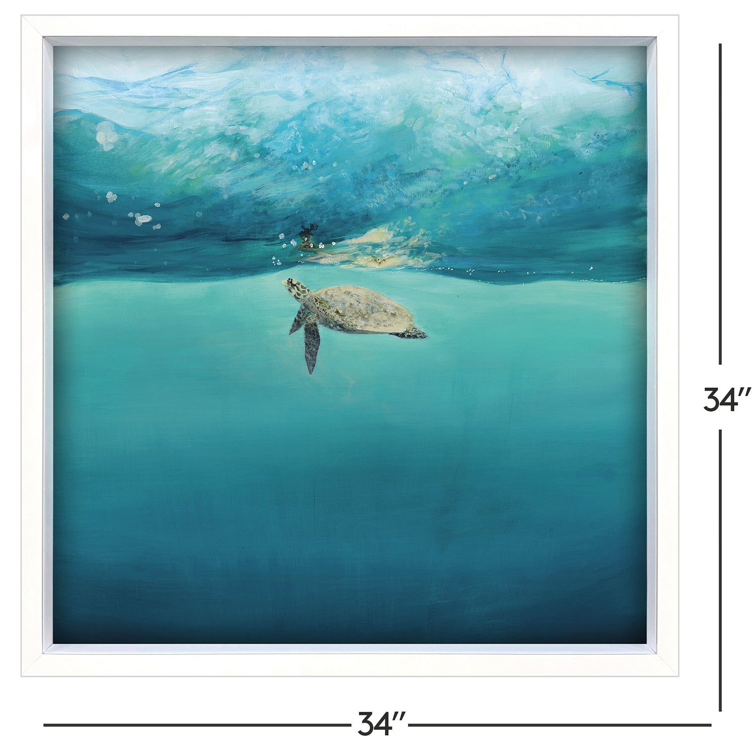 Malanta Knowles Turtle Reflection Framed Art