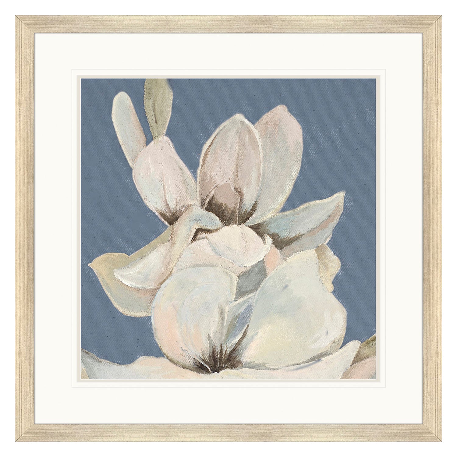 Sarah Lang Magnolia on Blue I Framed Art