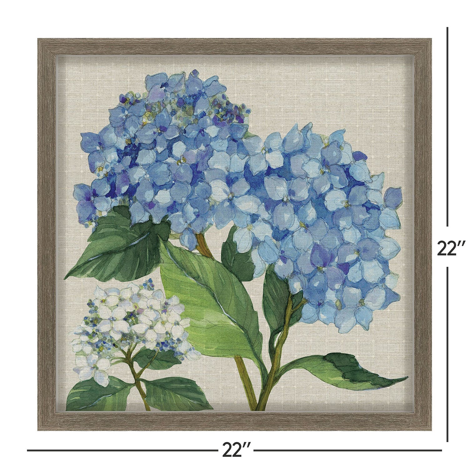 Malanta Knowles Hydrangea Study Framed Art Set of 2
