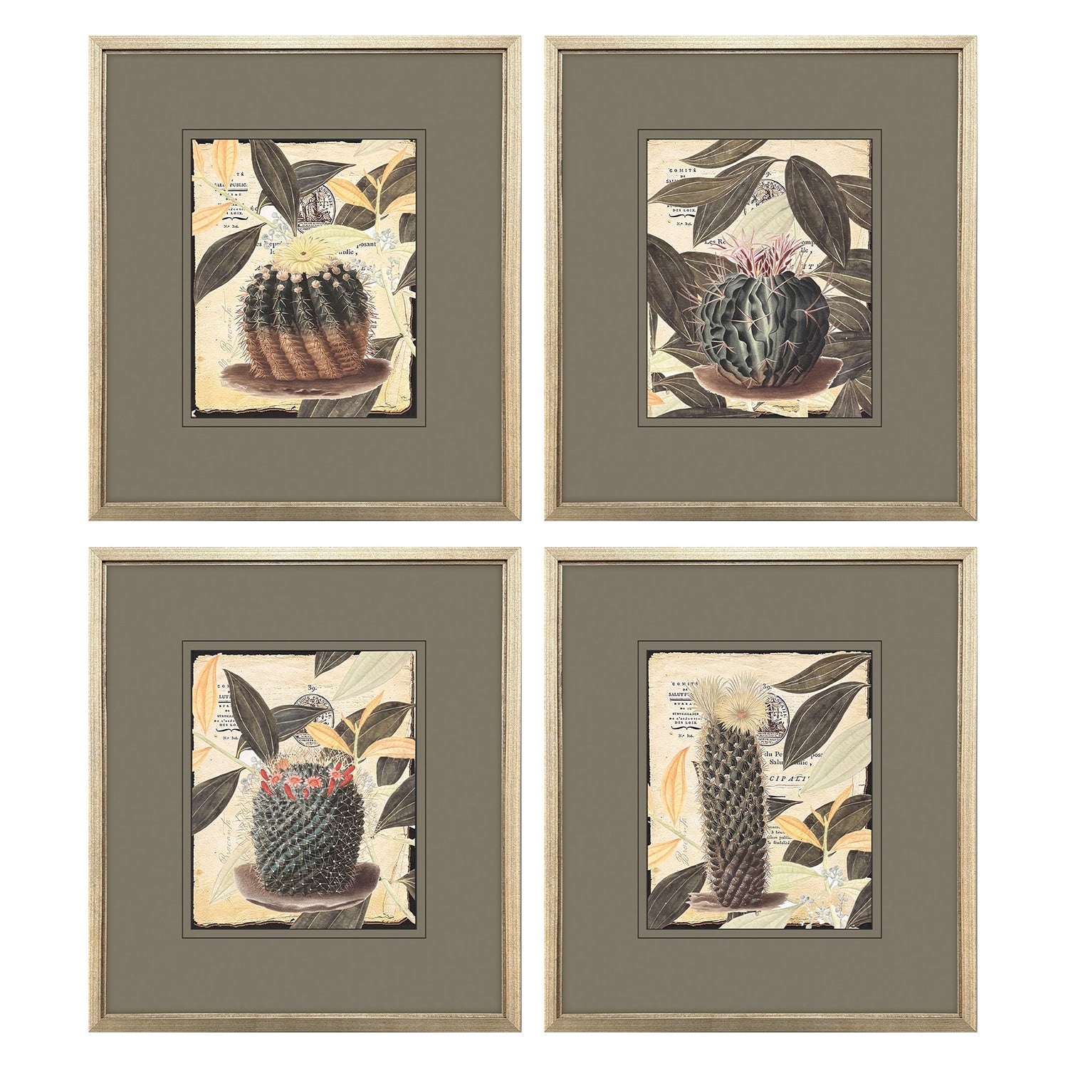 Malanta Knowles Cactus Collage Framed Art Set of 4
