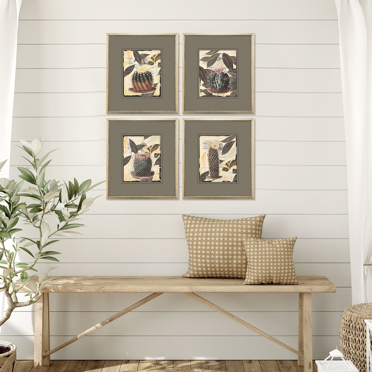 Malanta Knowles Cactus Collage Framed Art Set of 4