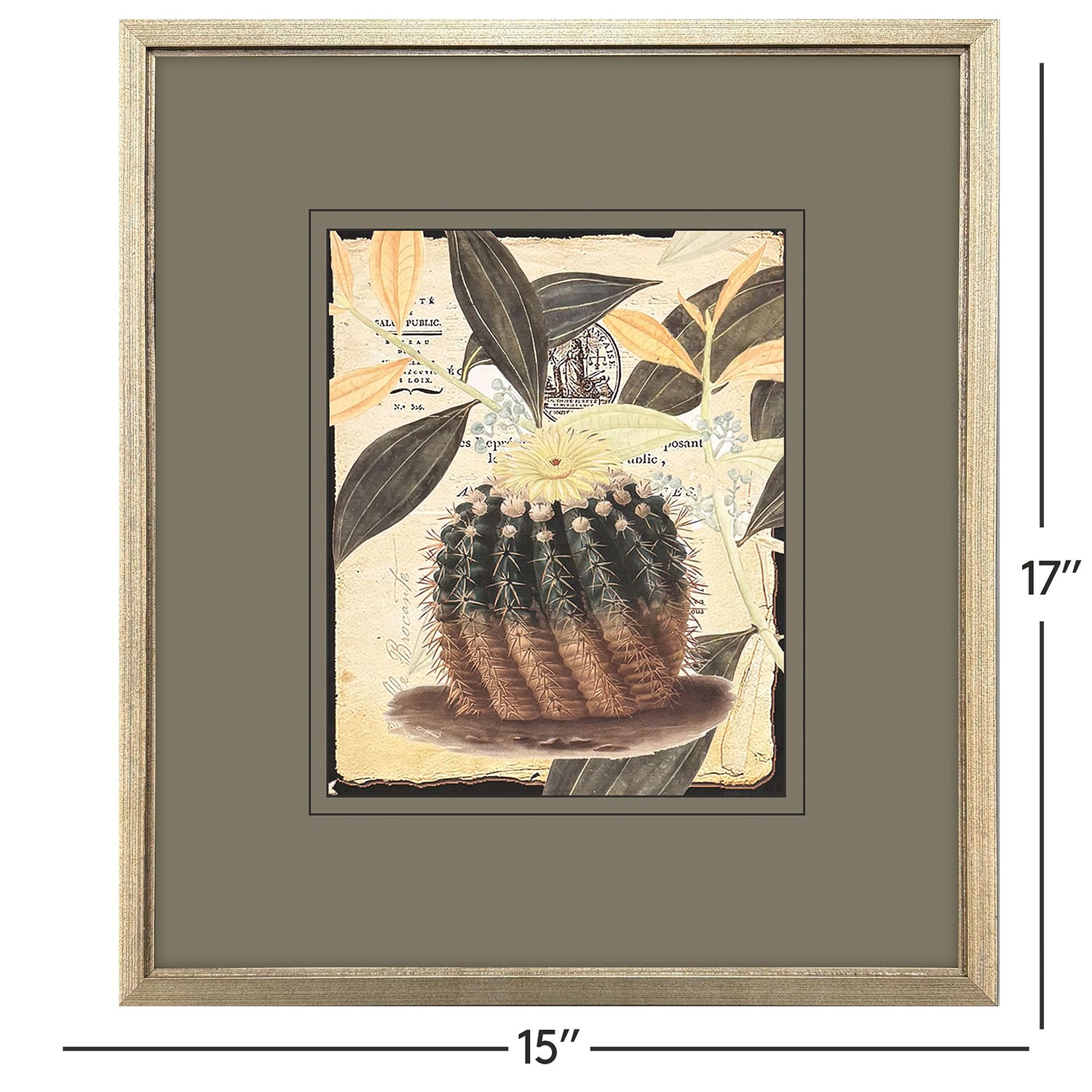 Malanta Knowles Cactus Collage Framed Art Set of 4