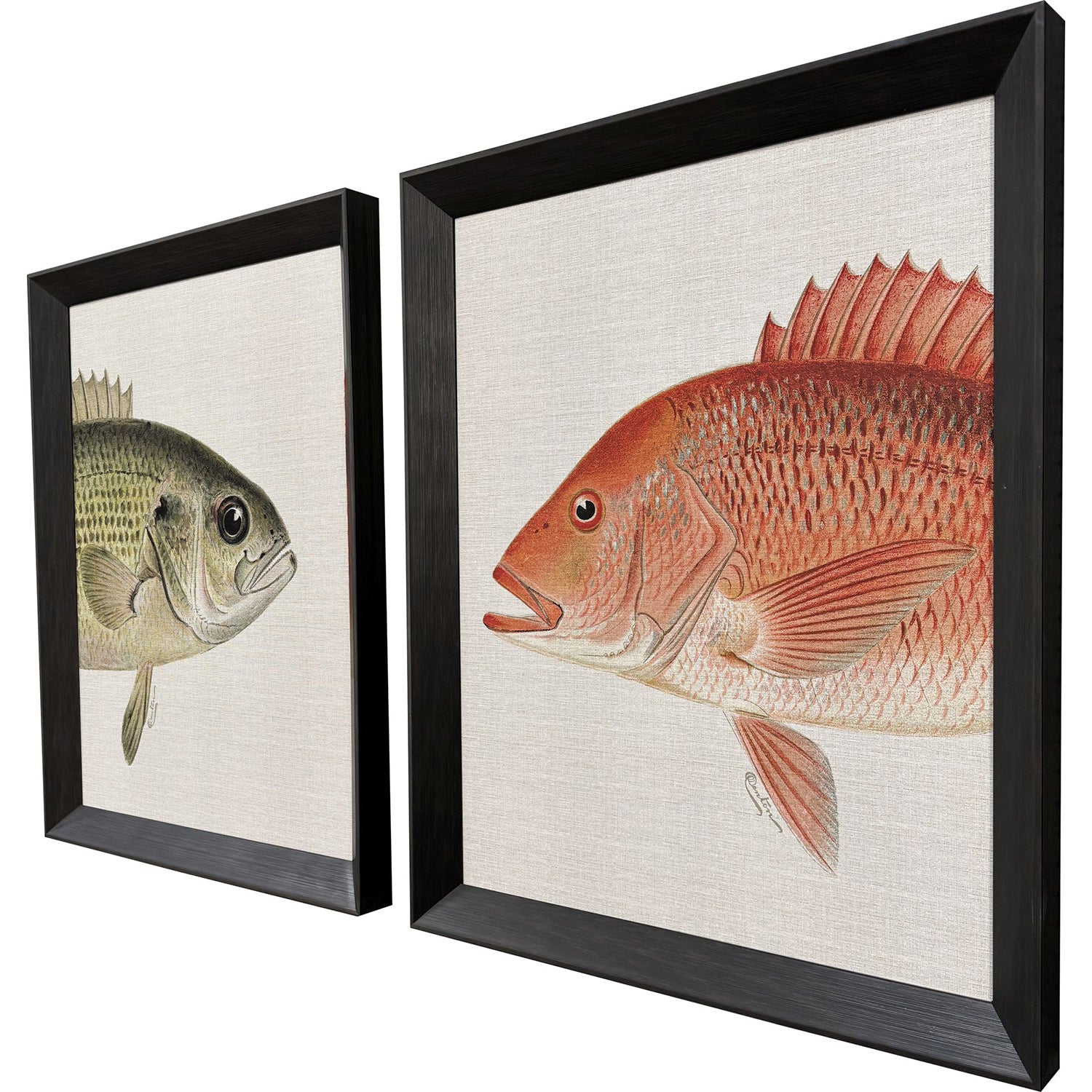 Malanta Knowles Green/Red Fish Framed Art Set of 2