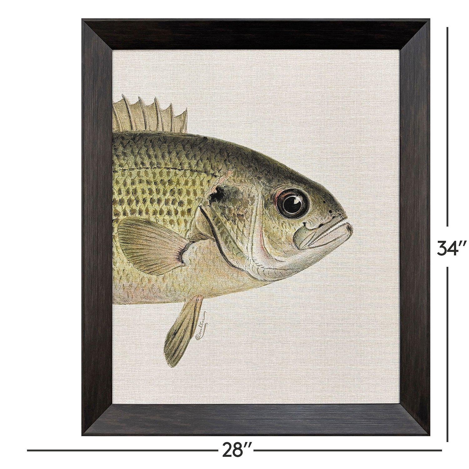Malanta Knowles Green/Red Fish Framed Art Set of 2