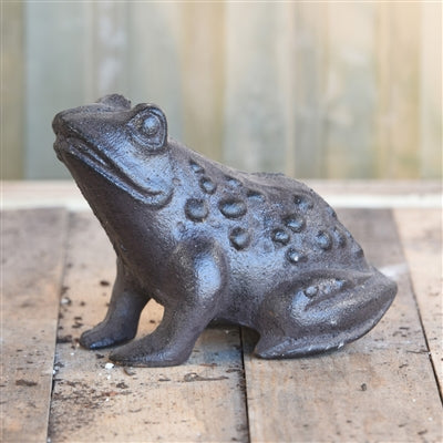 Garden Frog Sculpture