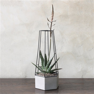 Indio Planter