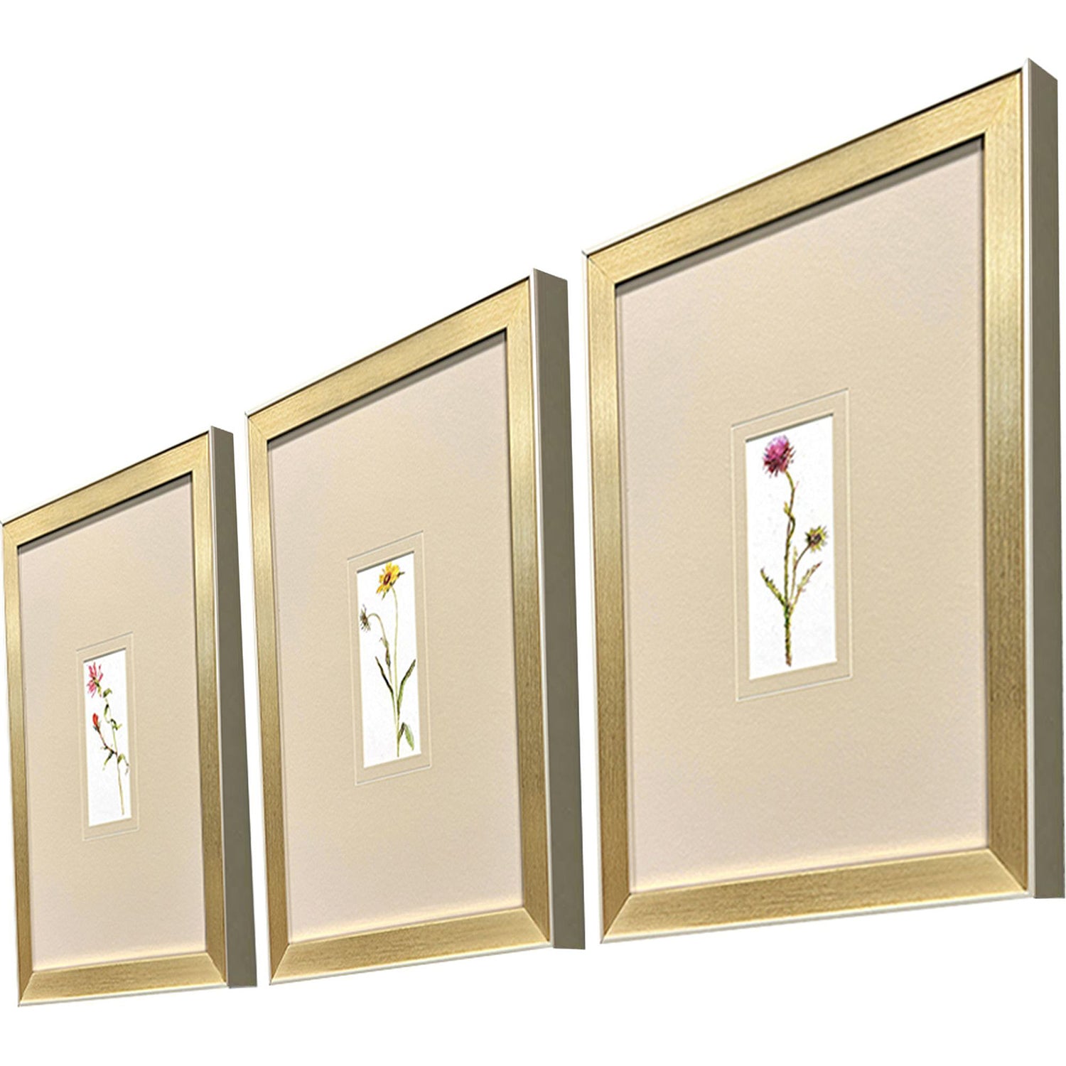 Keeling Pretty Florals I Framed Artwork Set of 3