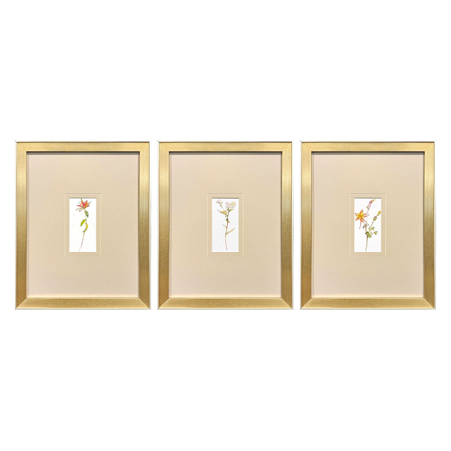 Keeling Pretty Florals II Framed Artwork Set of 3