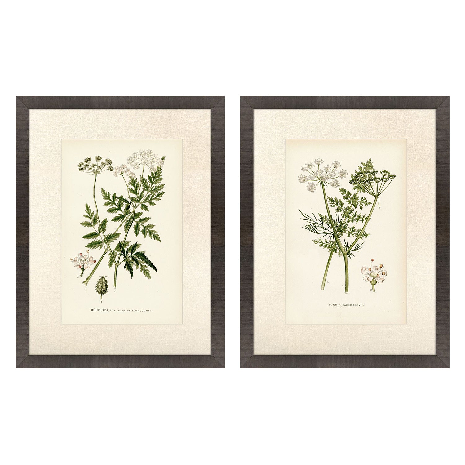 Higgins Queenss Lace II Framed Artwork Set of 2