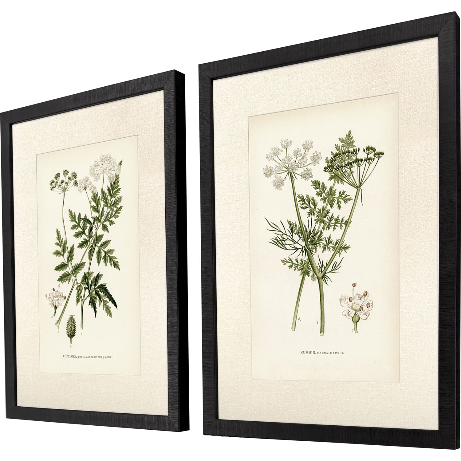 Higgins Queenss Lace II Framed Artwork Set of 2
