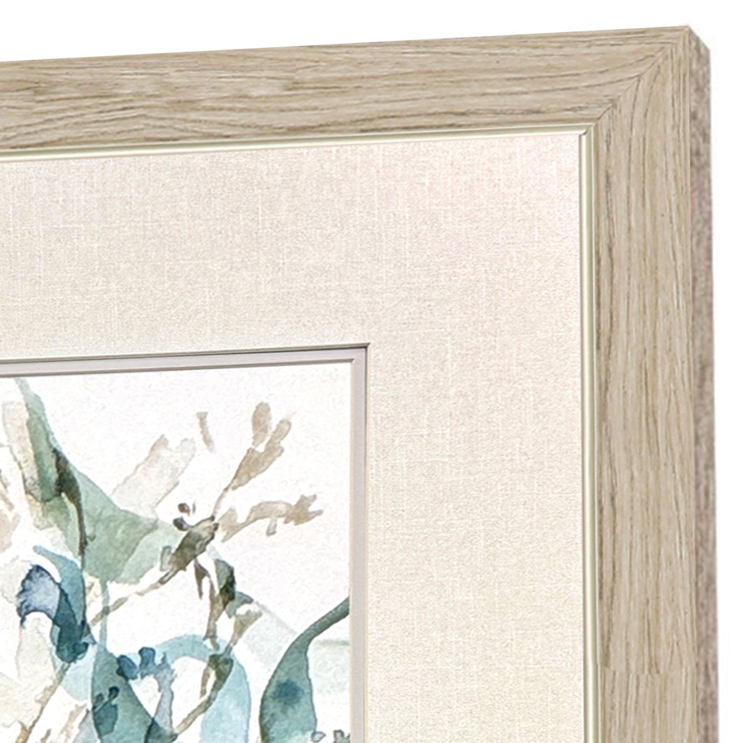 Barnes Underwater Botany Framed Artwork Set of 4