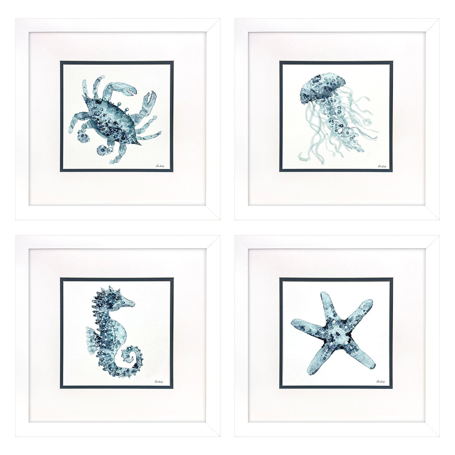 Bishop Water Sea Creatures Framed Artwork Set of 4