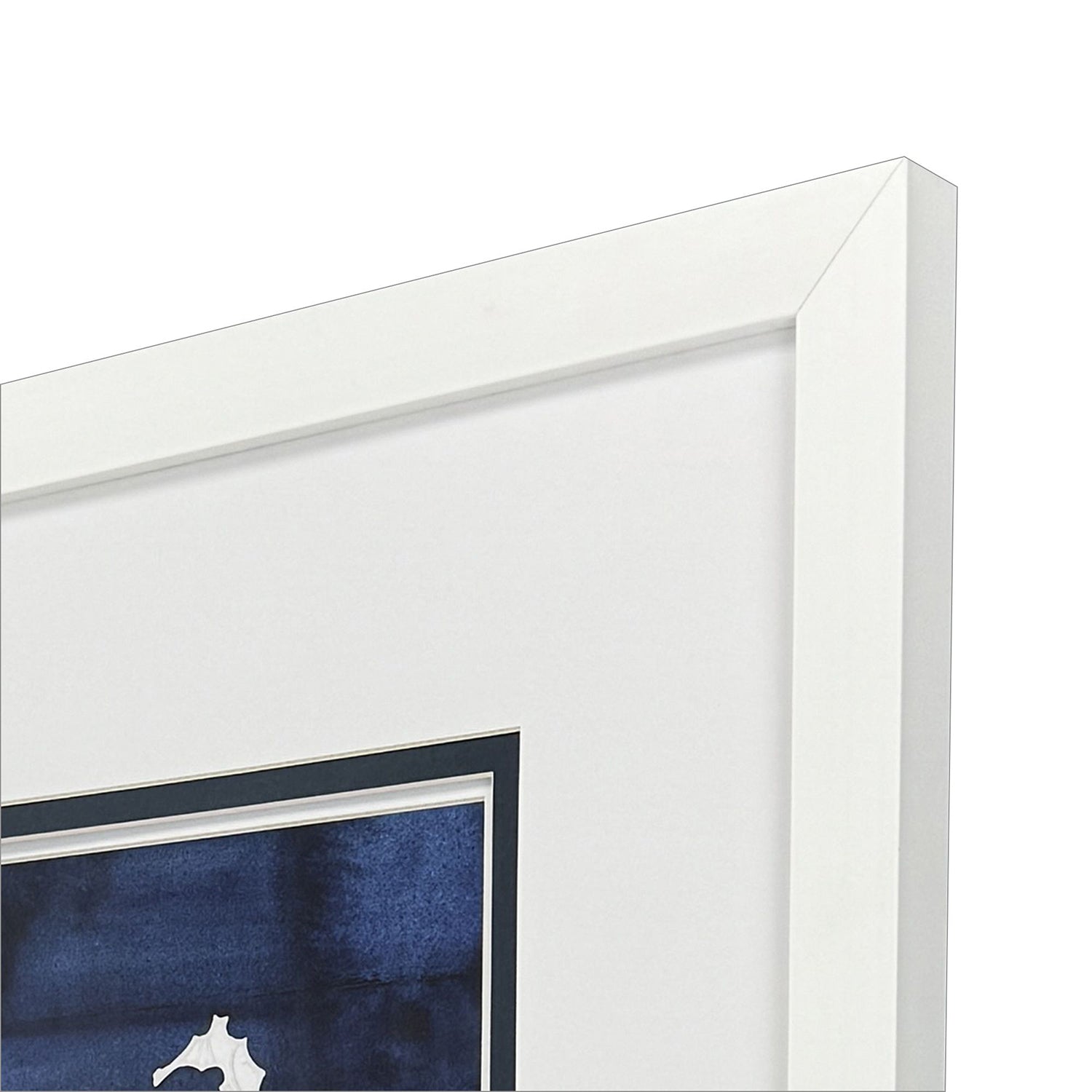 Roberts Turtle Seahorse Framed Artwork Set of 2
