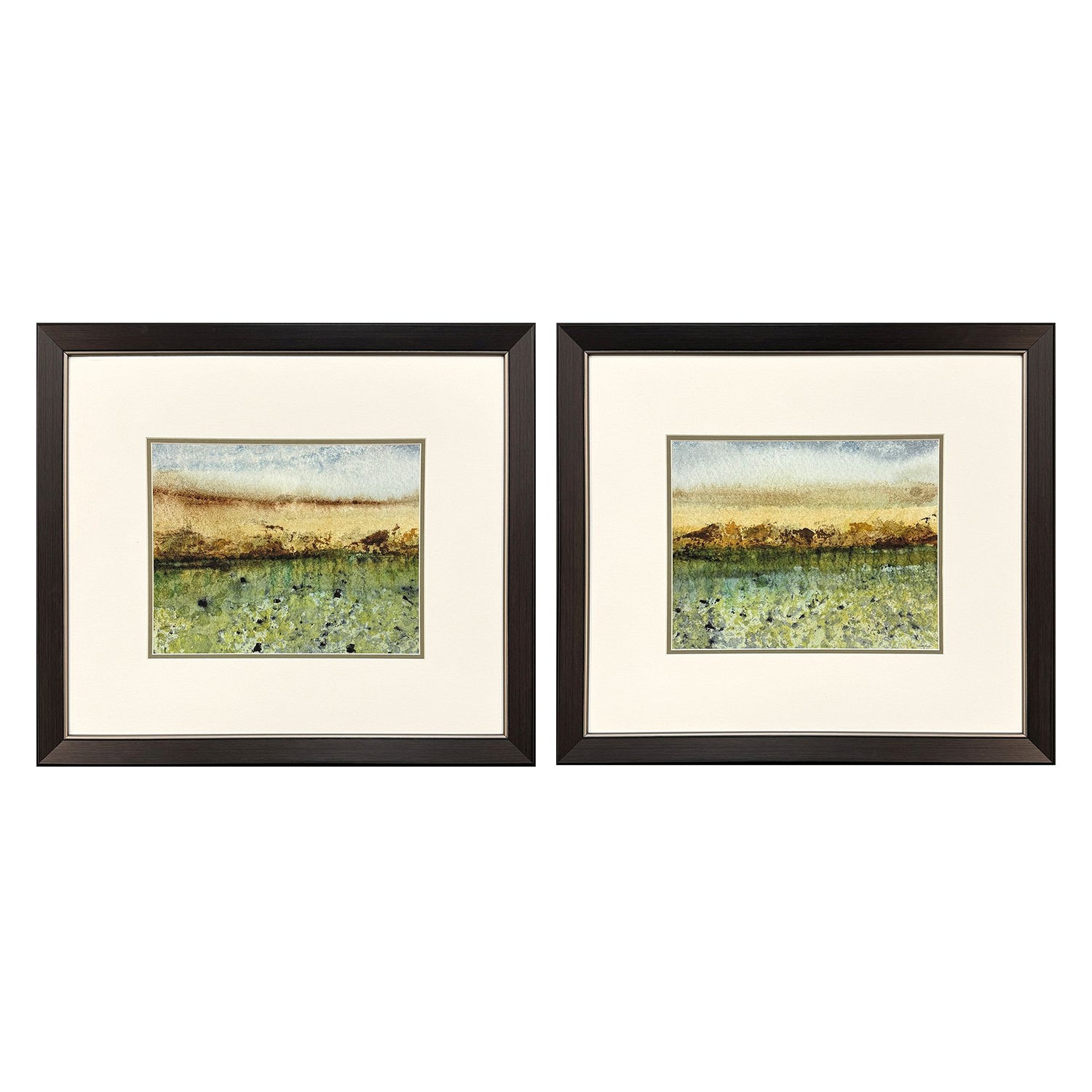 Bishop Abstract Vast Field Framed Artwork Set of 2