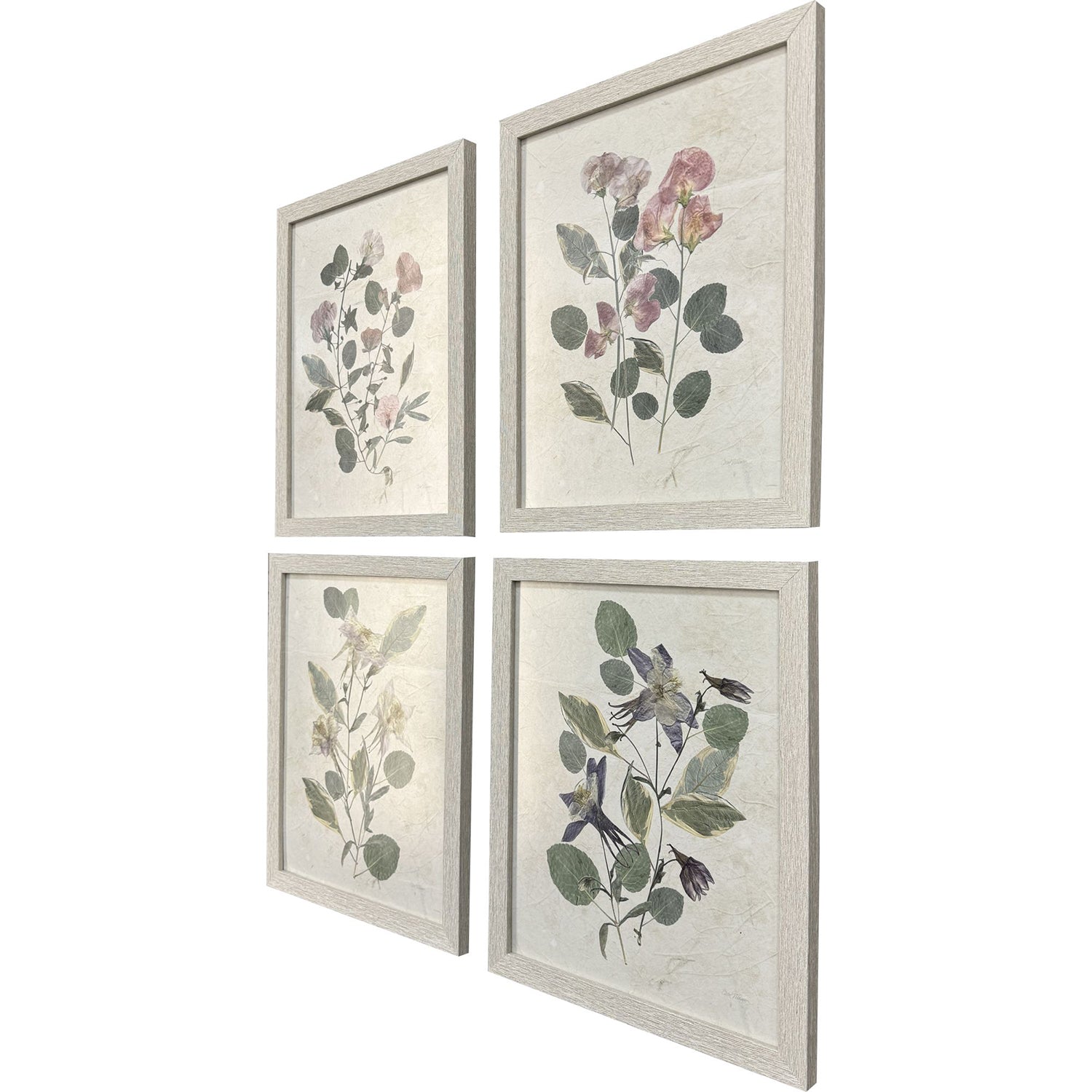 Robinson Pressed Arrangement Framed Artwork Set of 4