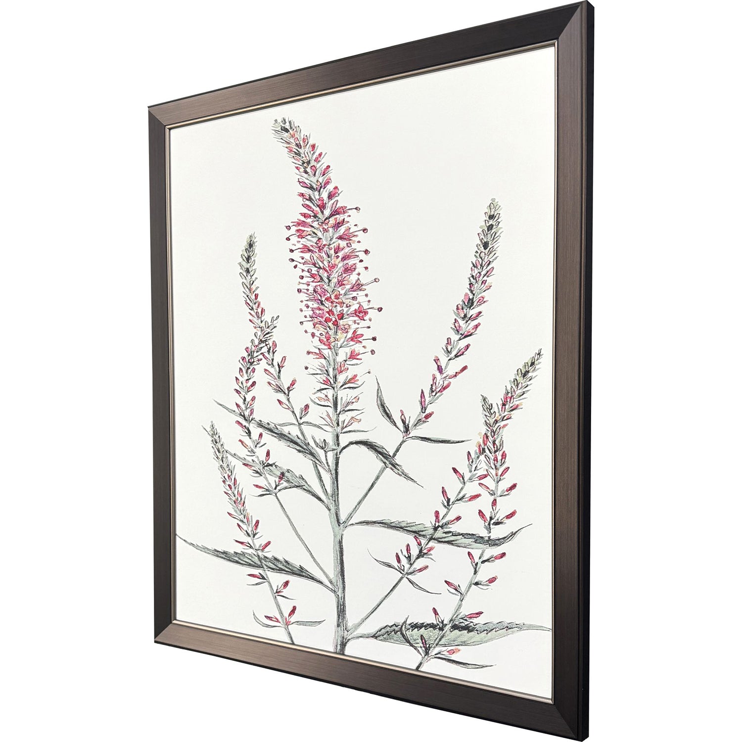 Malanta Knowles Pink Veronique I Framed Art
