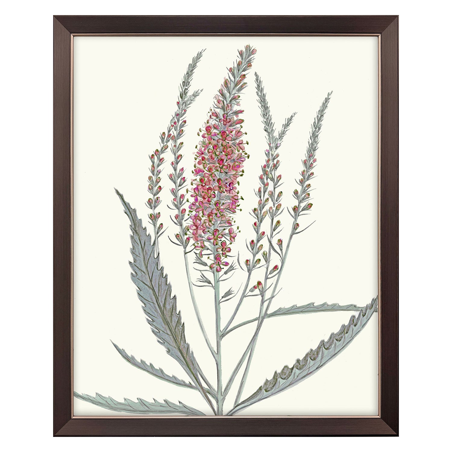 Malanta Knowles Pink Veronique II Framed Art