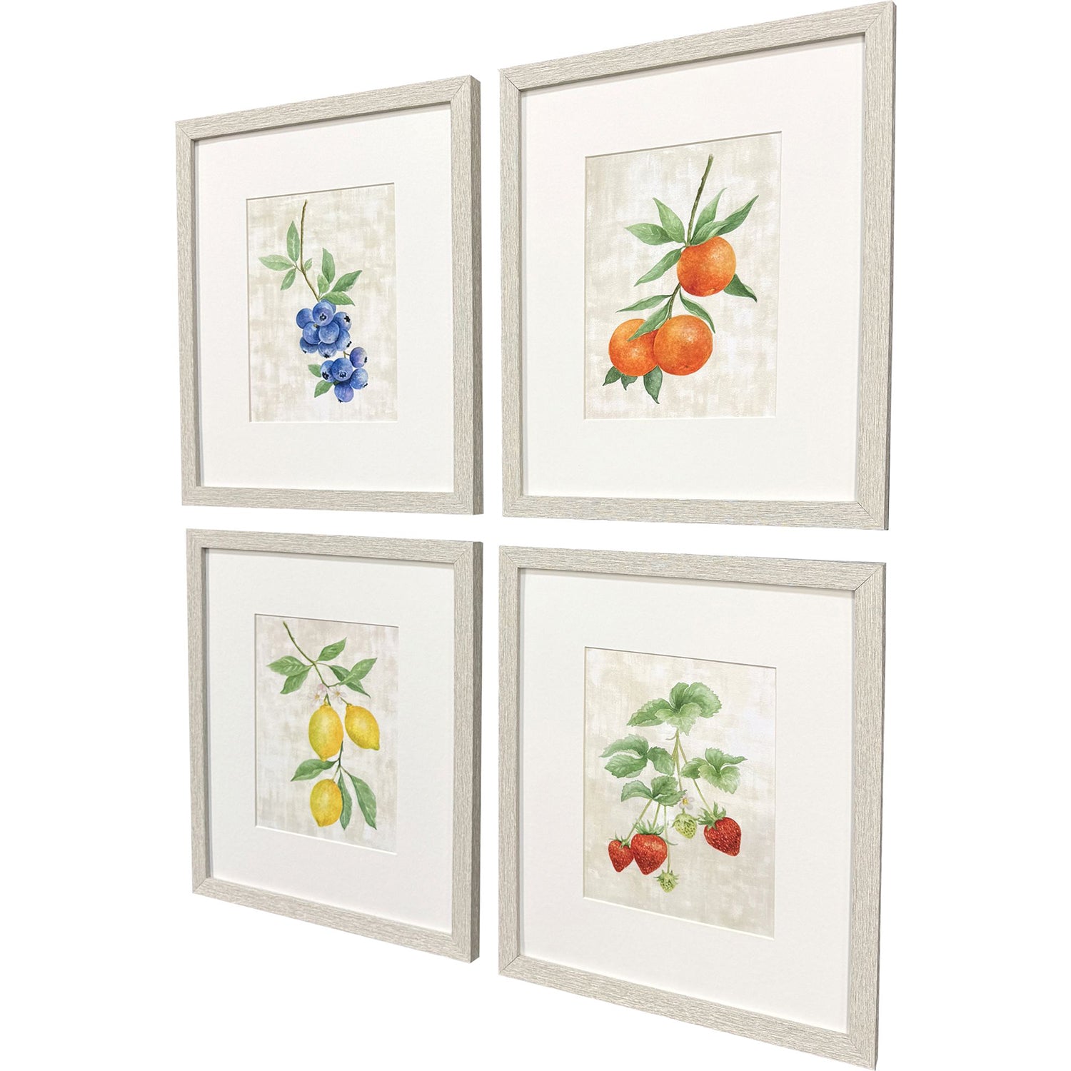 Sarah Lang Fruit in Detail Framed Art Set of 4