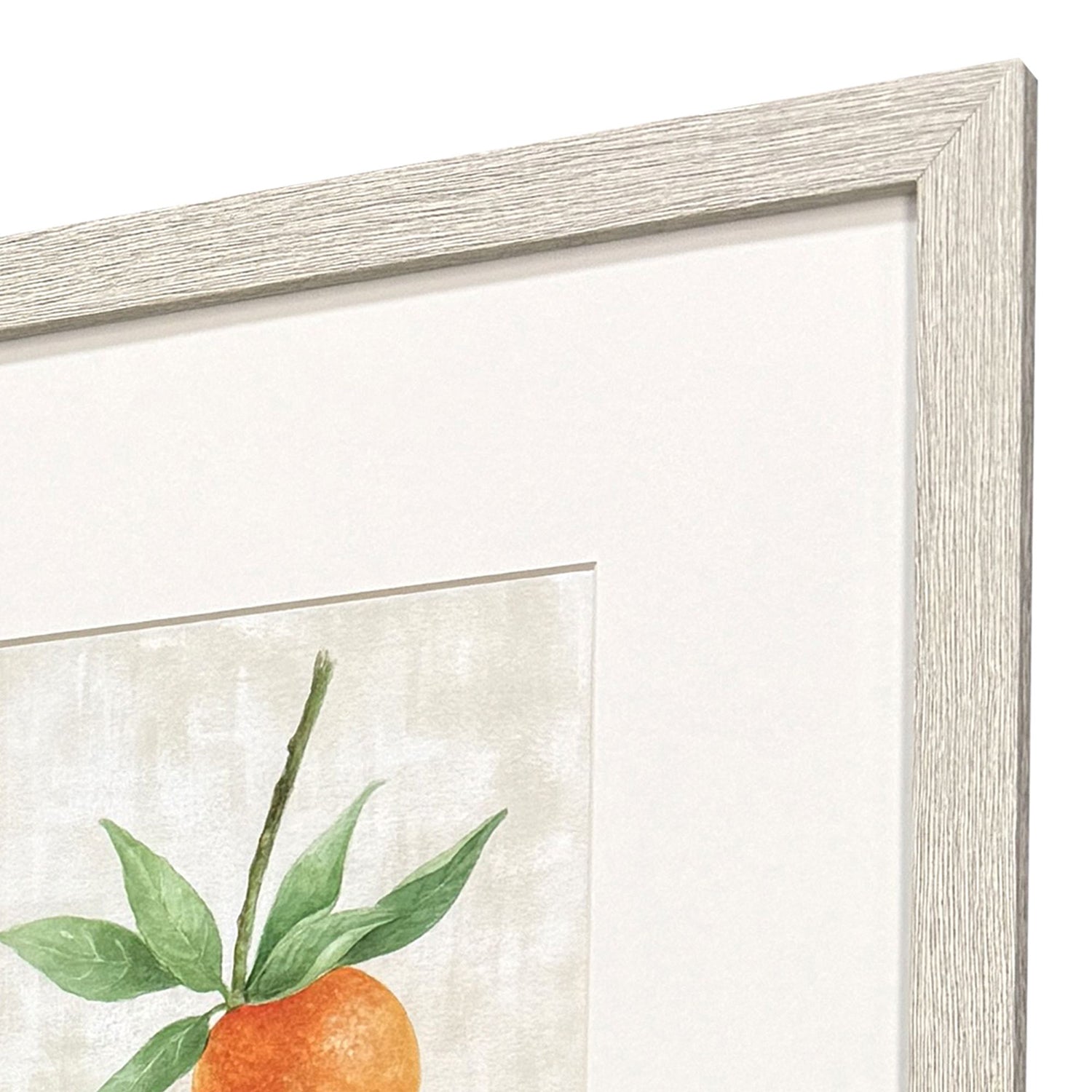 Sarah Lang Fruit in Detail Framed Art Set of 4