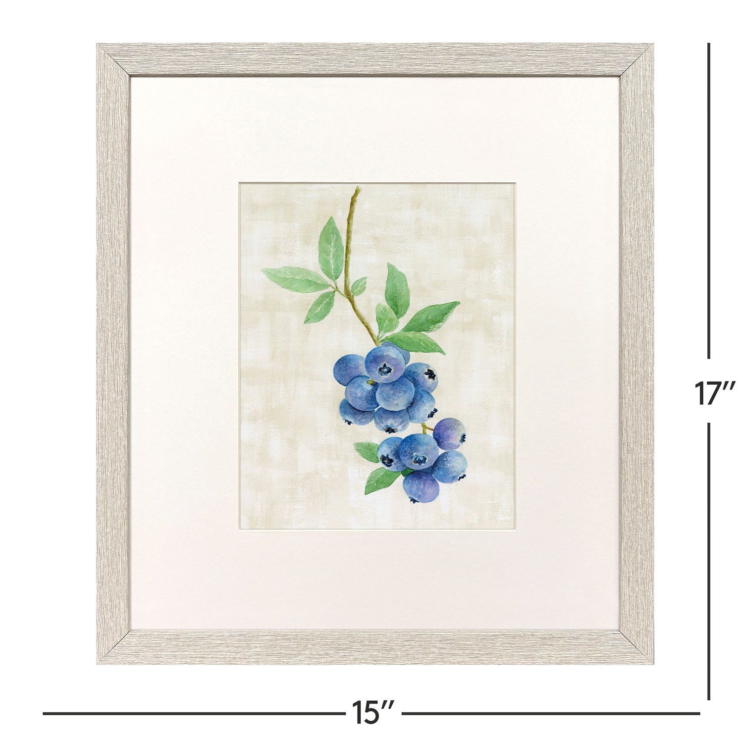 Sarah Lang Fruit in Detail Framed Art Set of 4