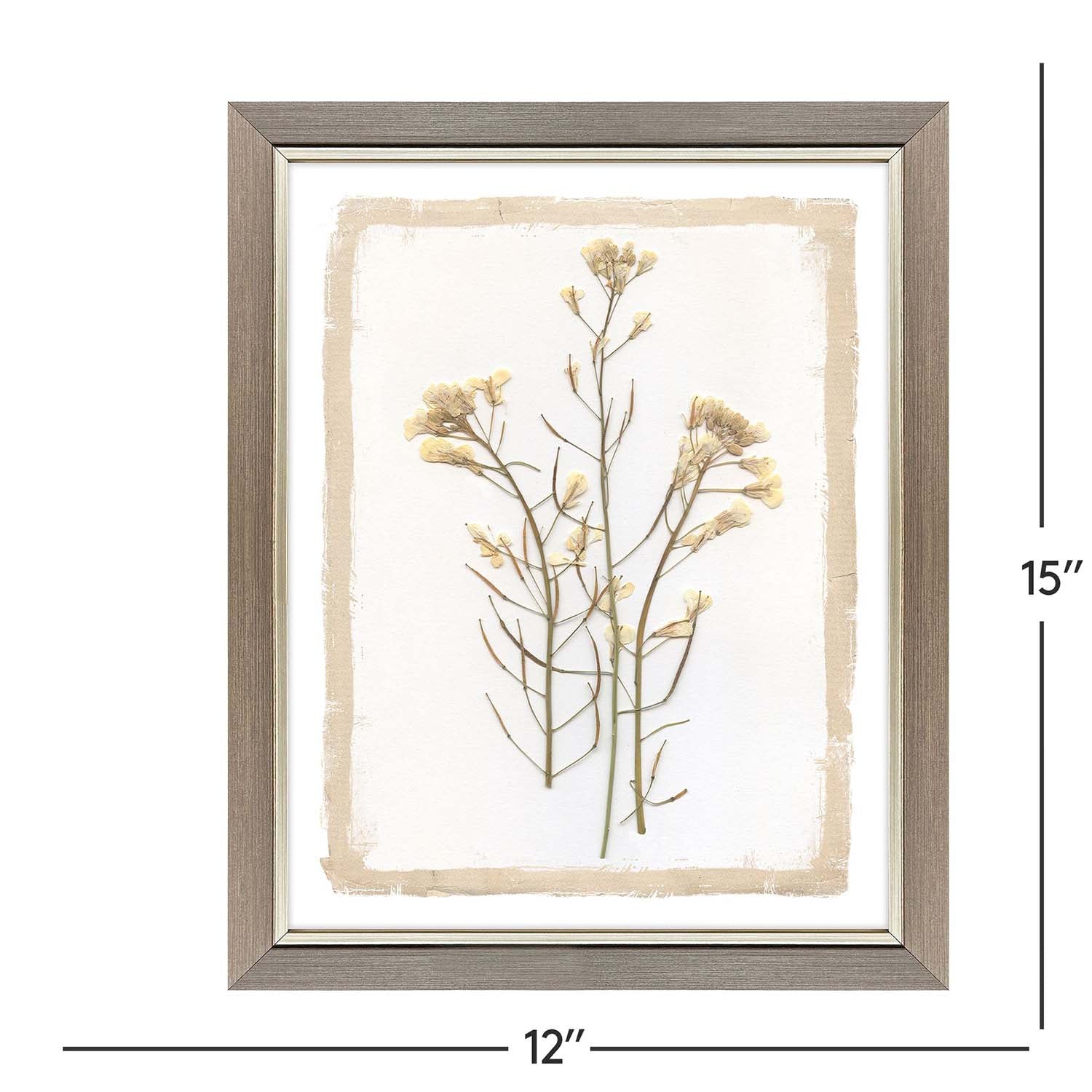 Malanta Knowles Brown Petals Framed Art Set of 4