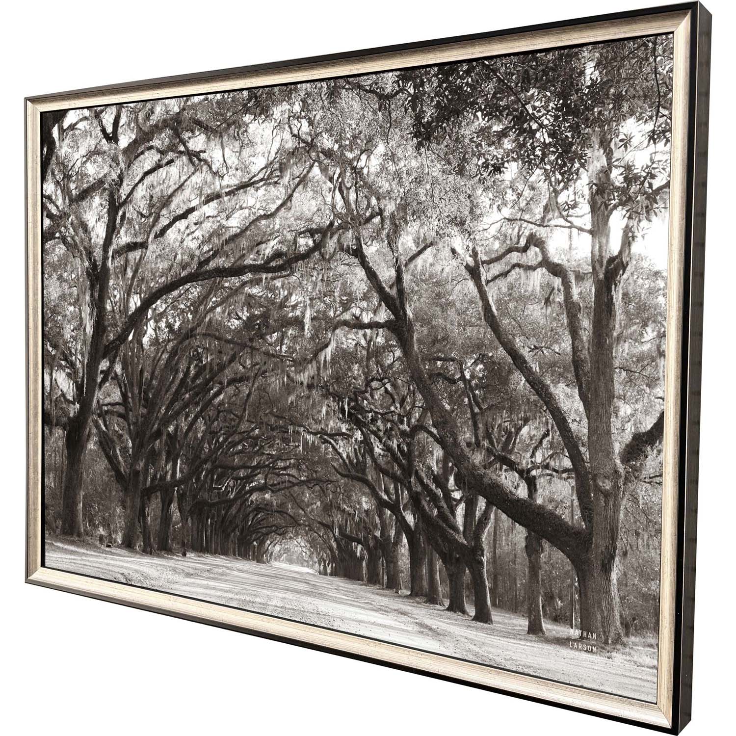 Leeanne Vaughn Georgia Stroll Framed Art