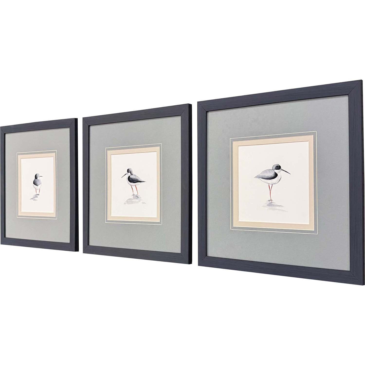 Sarah Lang Shorebird Song I Framed Art Set of 3