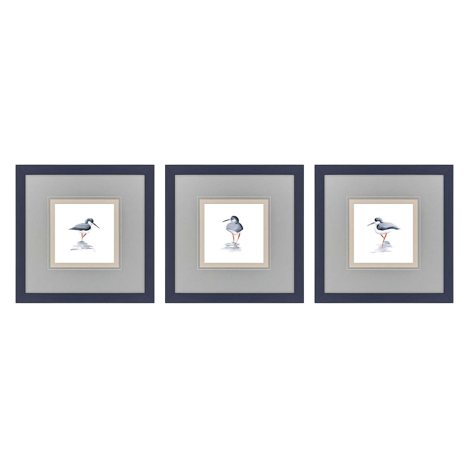 Sarah Lang Shorebird Song II Framed Art Set of 3