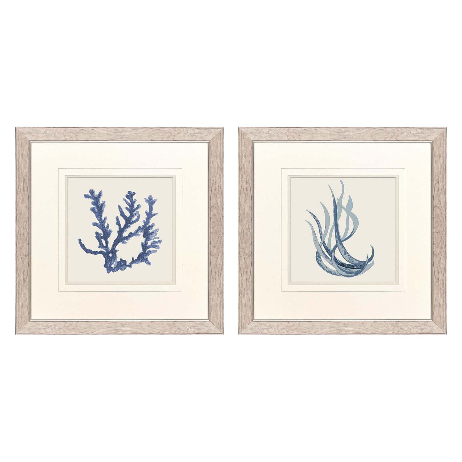 Sarah Lang Blue Corals I Framed Art Set of 2