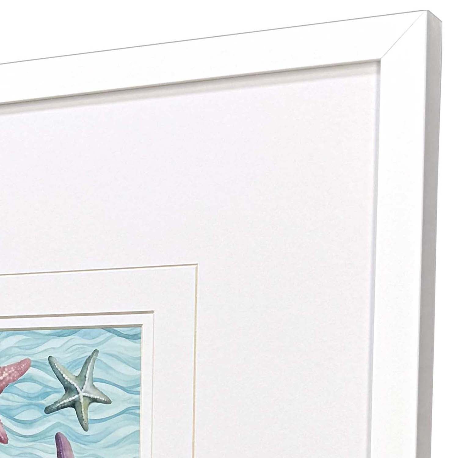 Jordan Glassco-Smith Happy Seashells Framed Art Set of 2