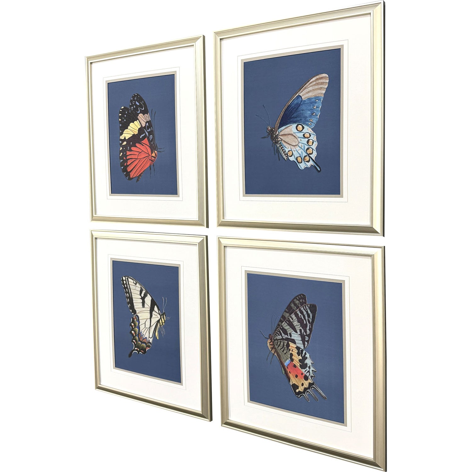 Libby Langdon Color Flutters Framed Art Set of 4