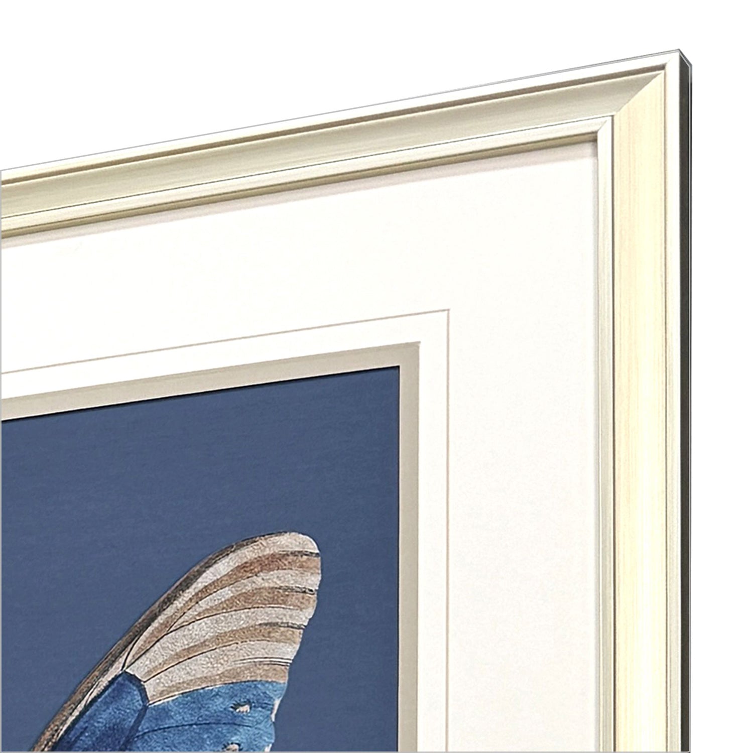 Libby Langdon Color Flutters Framed Art Set of 4