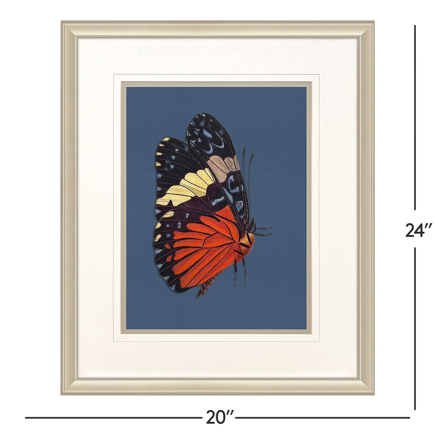 Libby Langdon Color Flutters Framed Art Set of 4