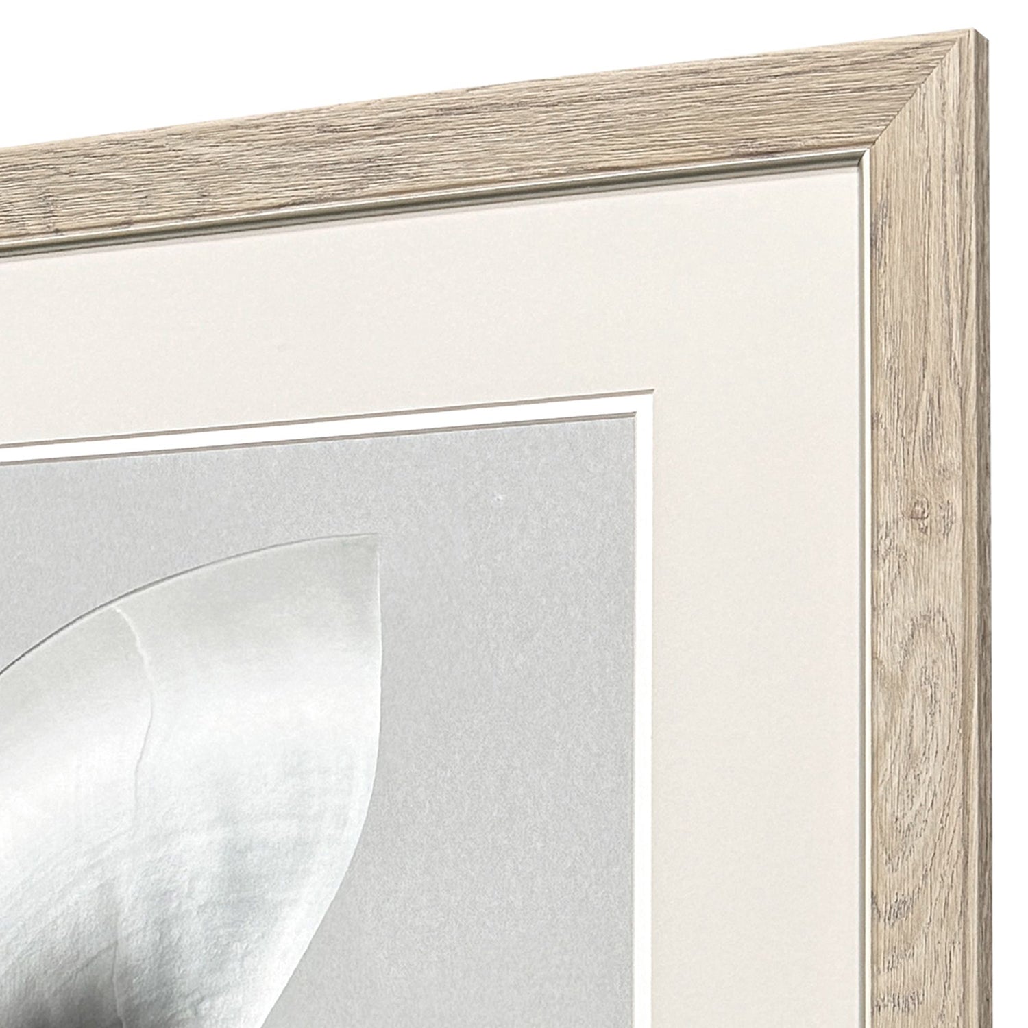 Libby Langdon Neutral Nautilus I Framed Art Set of 2