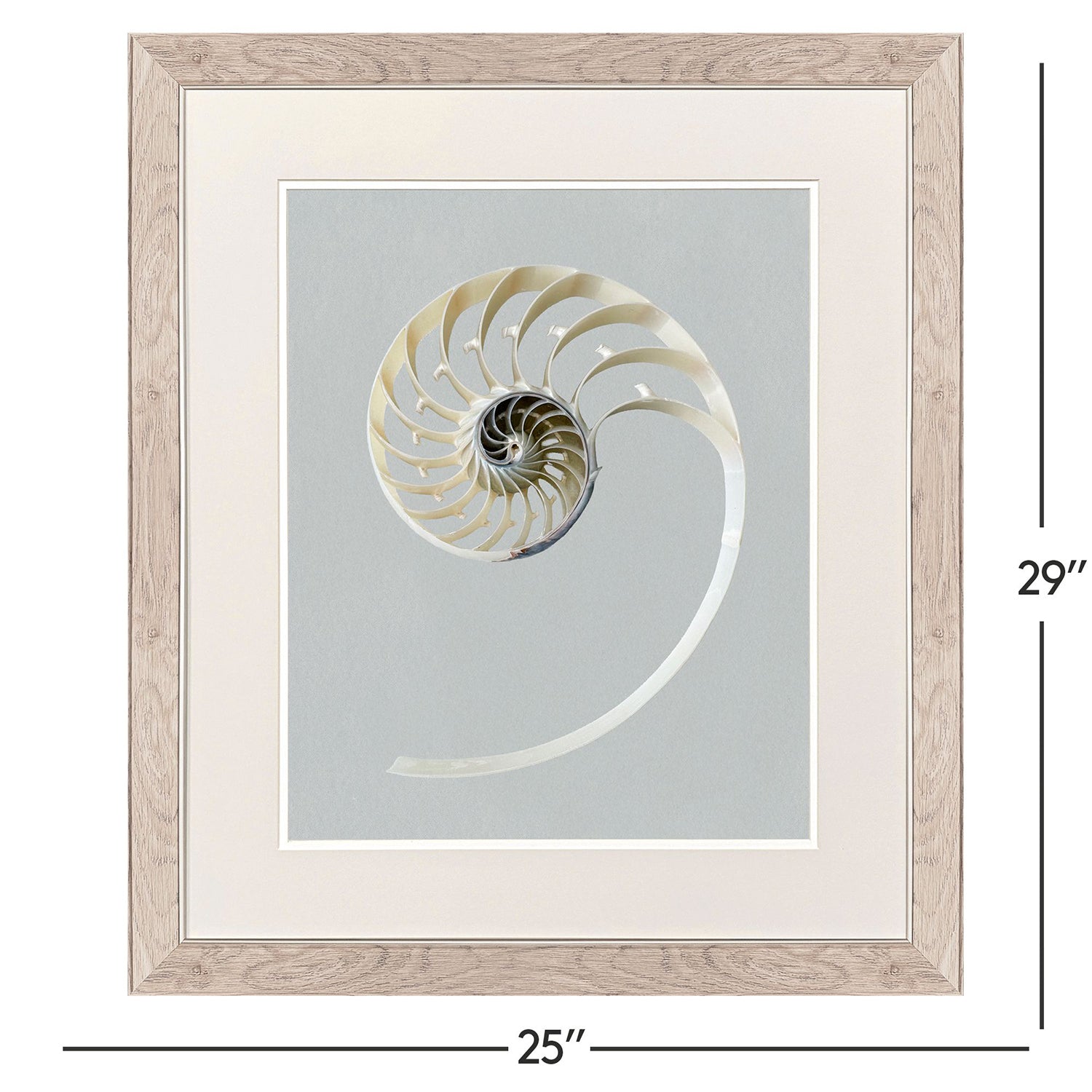 Libby Langdon Neutral Nautilus I Framed Art Set of 2