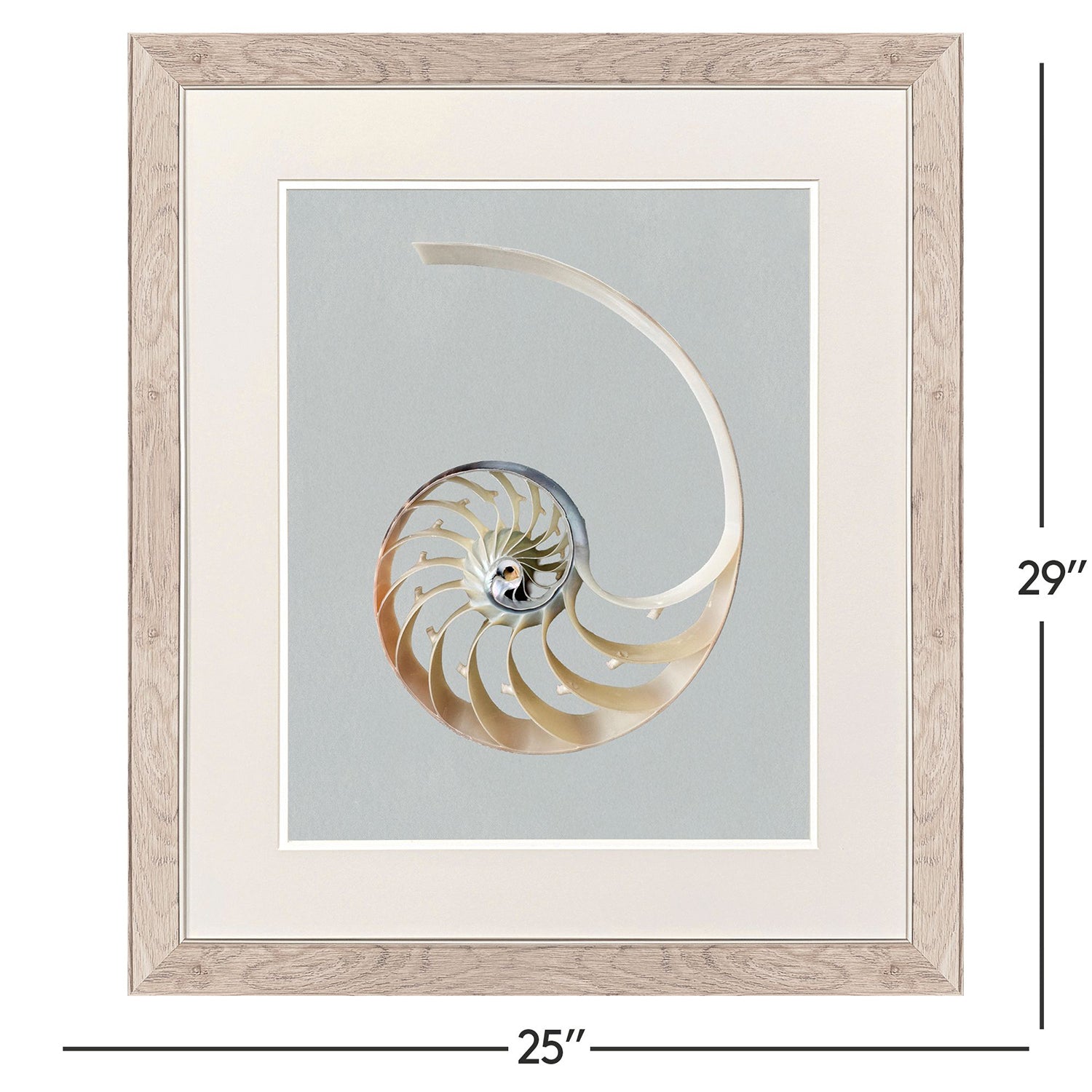 Libby Langdon Neutral Nautilus II Framed Art Set of 2