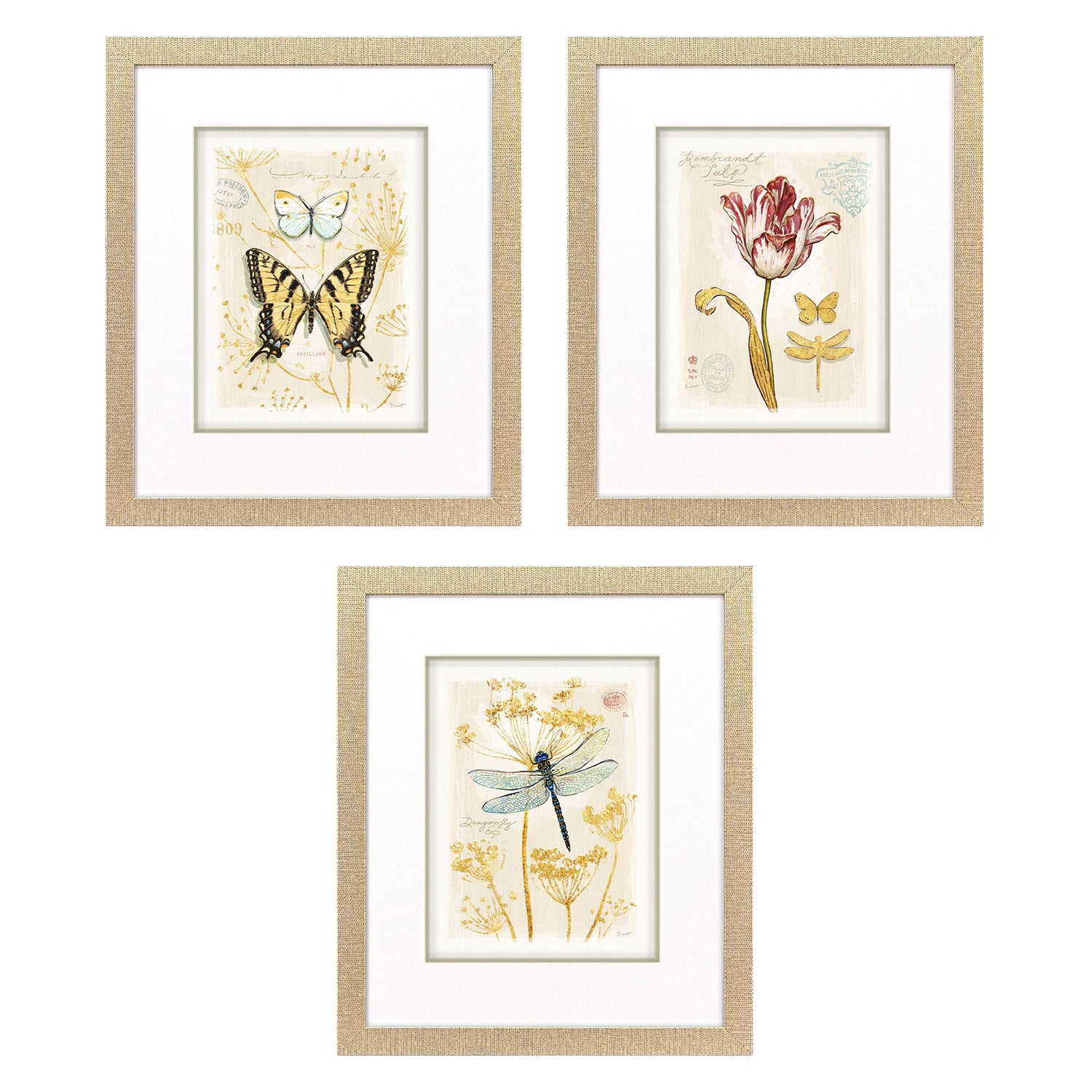 Sarah Lang Nature's Wonder I Framed Art Set of 3