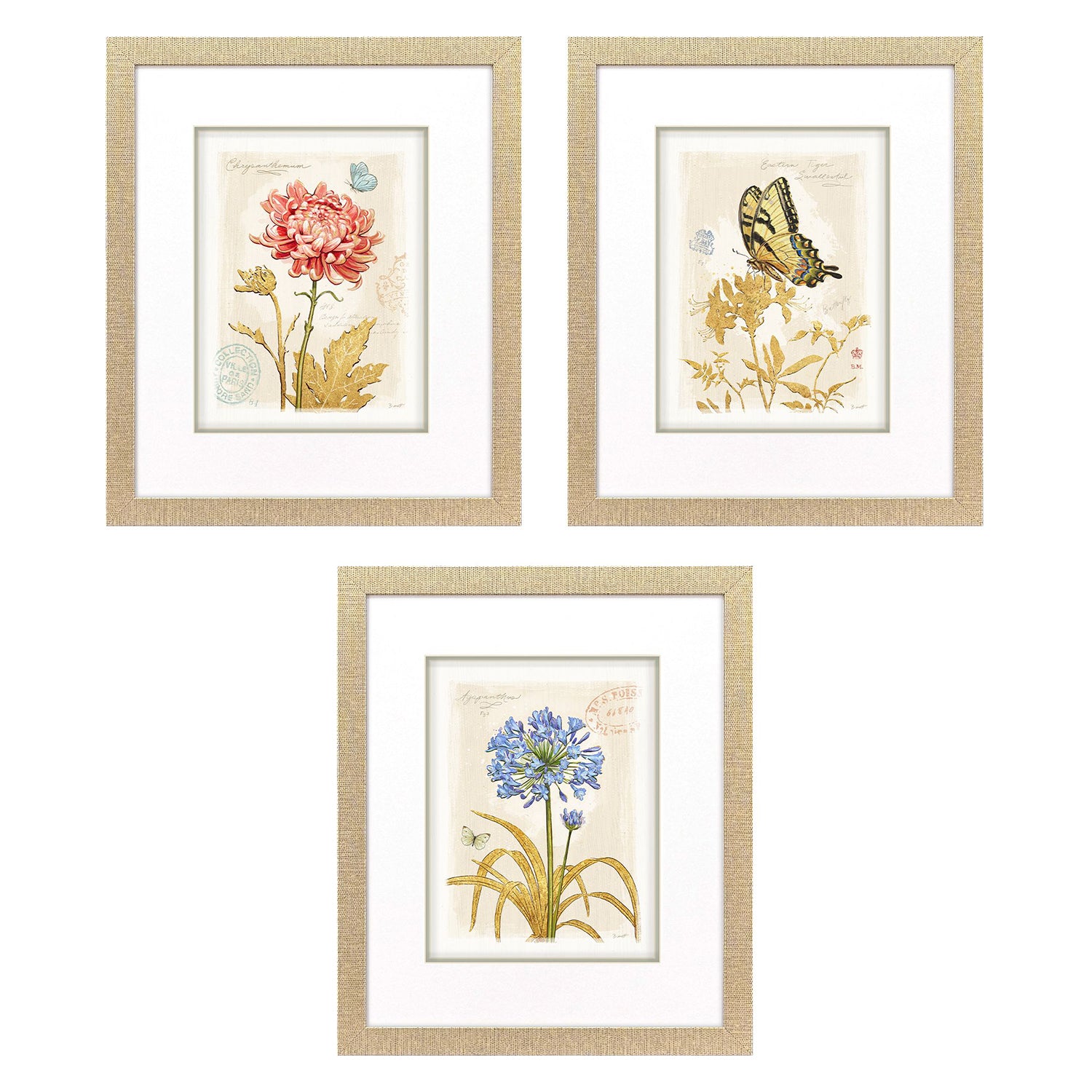 Sarah Lang Nature's Wonder II Framed Art Set of 3