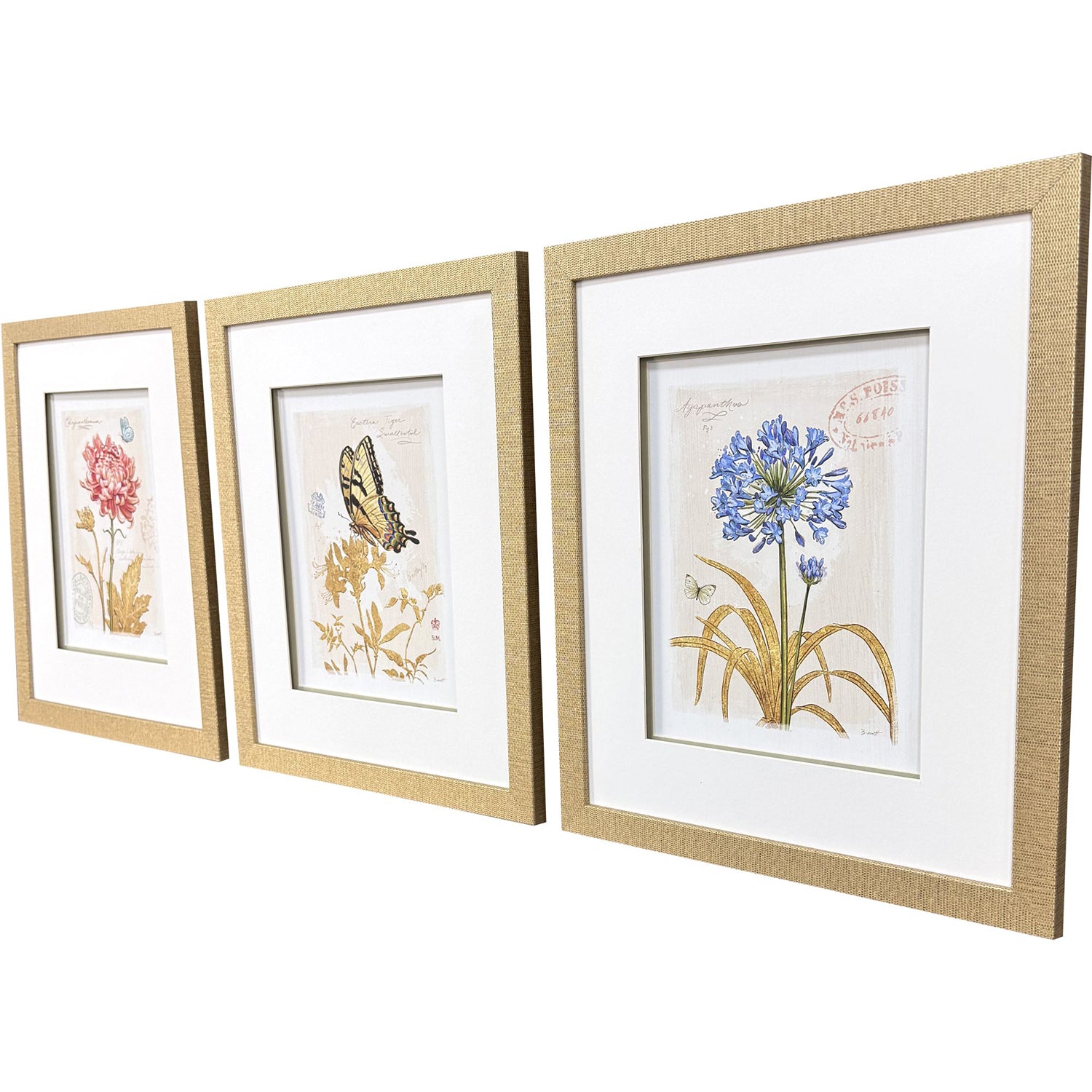 Sarah Lang Nature's Wonder II Framed Art Set of 3